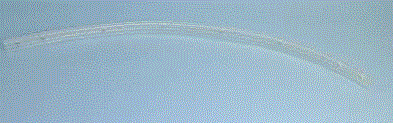 SUPPORT BLADE POLY. 30 3/4'' X 1 3/4'' X 1/8''