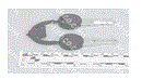 KEYS FOR CREWMAN