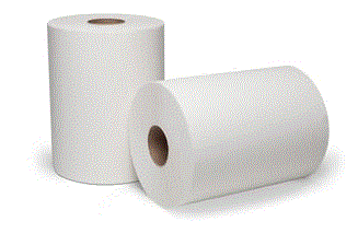 PAPIER A MAIN BLANC DUBLNATURE 12 X 450' /CS