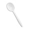 WHITE POLYPRO SOUPSPOON 2208040 1000/CS